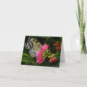 Single Butterfly on Pink Tropical Flowers Holiday Card