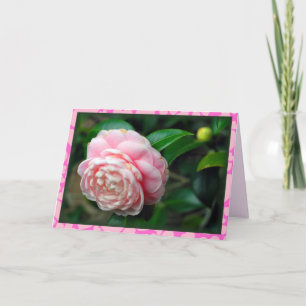 Single camellia with heart border Valentine's Day Holiday Card