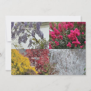 Single Card The Four Seasons