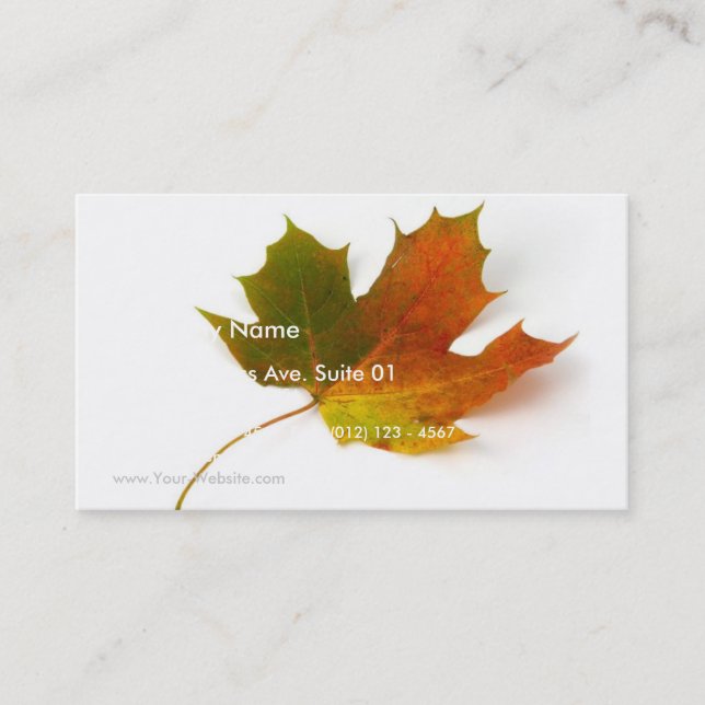 Single Coloured Maple Leaf On White Background Business Card (Front)