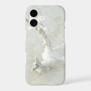Single coral on the beach