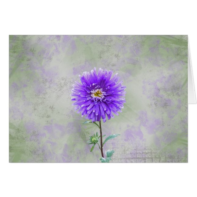 Single Dahlia (Front Horizontal)