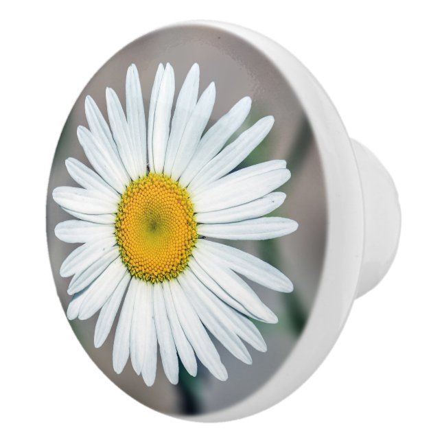 Single Daisy Flower Ceramic Knob (Right)