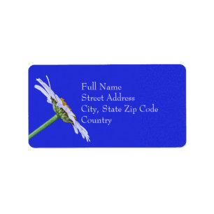 Single Daisy Flower on Canvas Custom Label