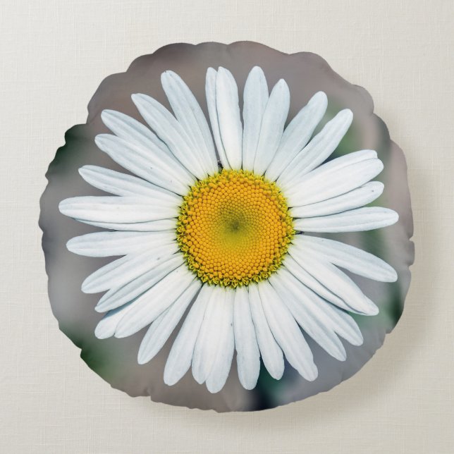 Single Daisy Flower Round Pillow (Front)