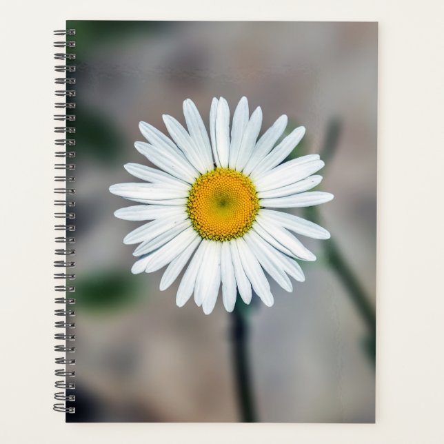 Single Daisy Weekly/Monthly Planner (Front)