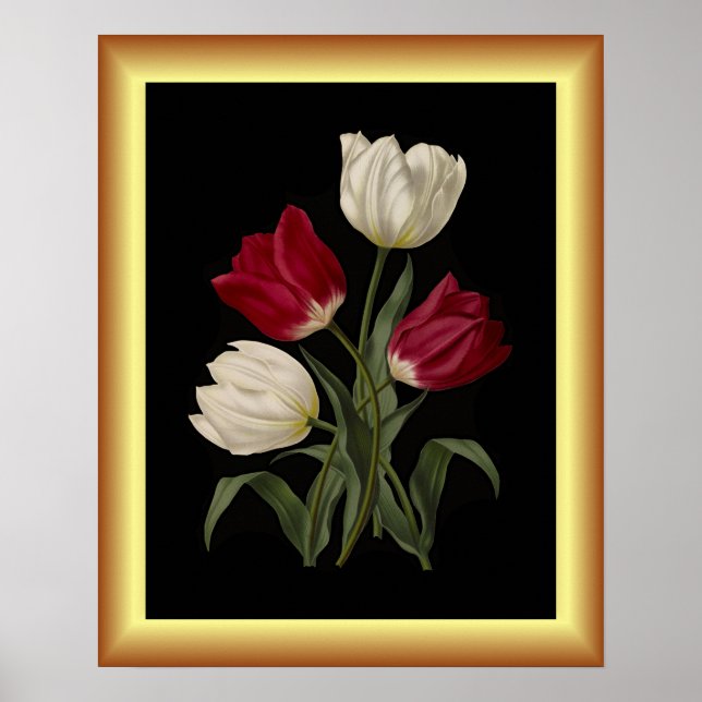 Single Early Tulips ~ Botanical Art Print ~ (Front)