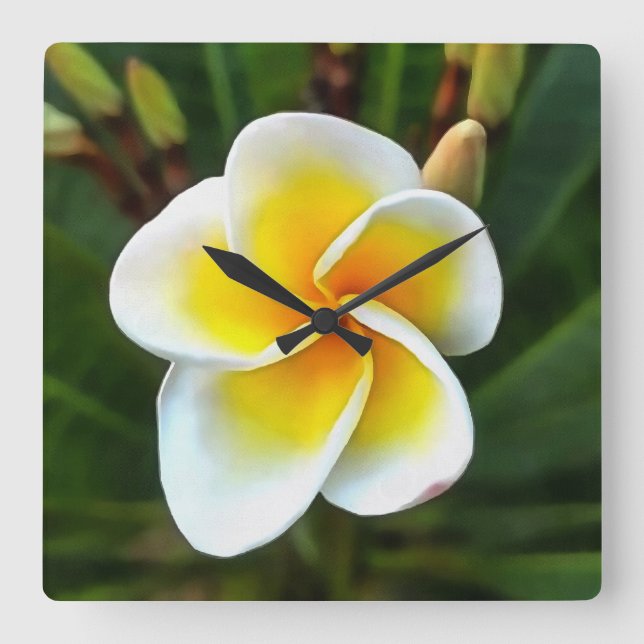 Single Frangipani Blossom Realism Art Square Wall Clock (Front)