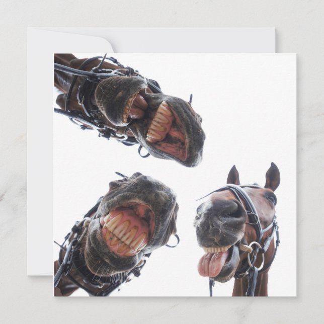 Single holiday card (Front)