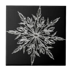 Single Ice Crystal on Black Ceramic Tile