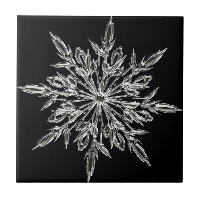 Single Ice Crystal on Black Ceramic Tile (Front)