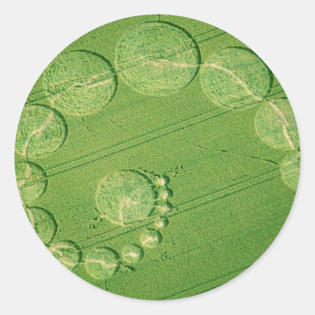 Single Julia Crop Circle Classic Round Sticker (Front)