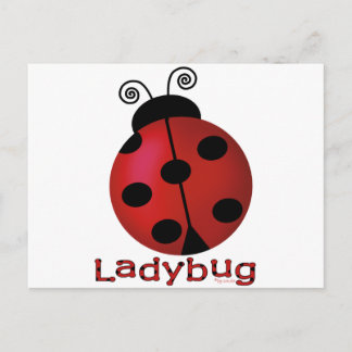 Single Ladybug Postcard