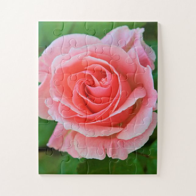 Single Large Pink Rose Up Close Jigsaw Puzzle (Vertical)