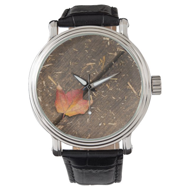 Single Maple Leaf in Fall Watch (Front)