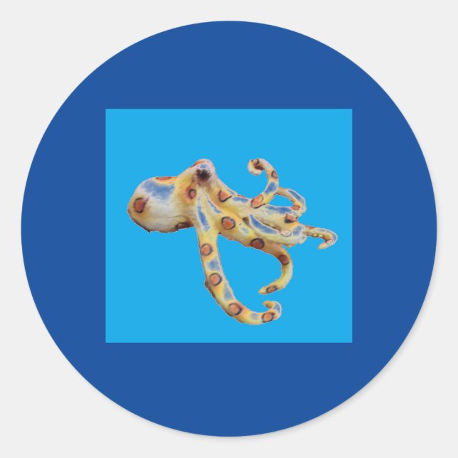 Single Octopus on Blue Background Classic Round Sticker (Front)