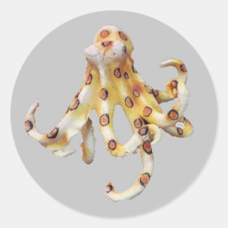 Single Octopus on Gray Background Classic Round Sticker