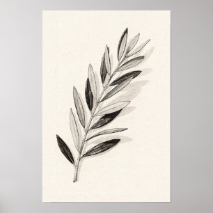 Single Olive Branch Monochrome Nature Poster