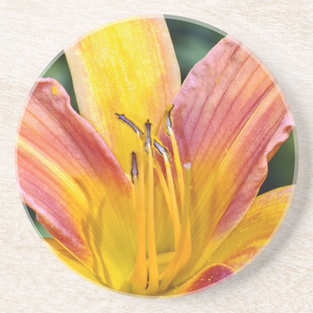 Single orange and yellow lily flower coaster (Front)