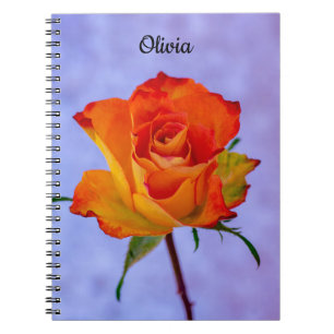 Single Orange and Yellow Rose Spiral notebook