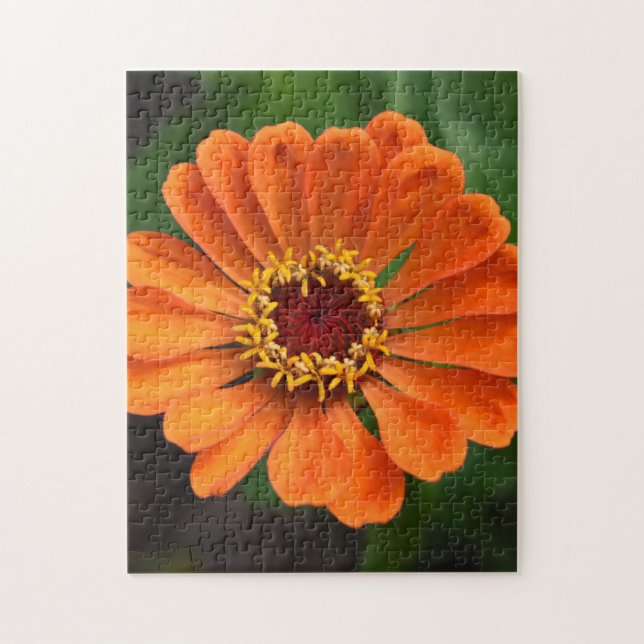 Single Orange Flower Jigsaw Puzzle (Vertical)