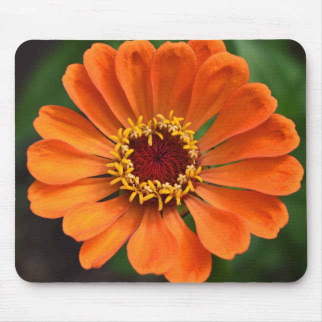 Single Orange Flower Mouse Pad (Front)