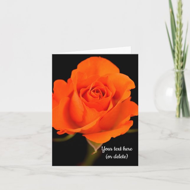 Single Orange Rose Greeting card (Front)