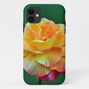 Single orange tea rose iPhone 11 case