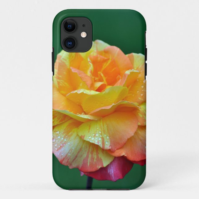 Single orange tea rose Case-Mate iPhone case (Back)