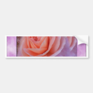 Single Peach Rose Bumper Sticker