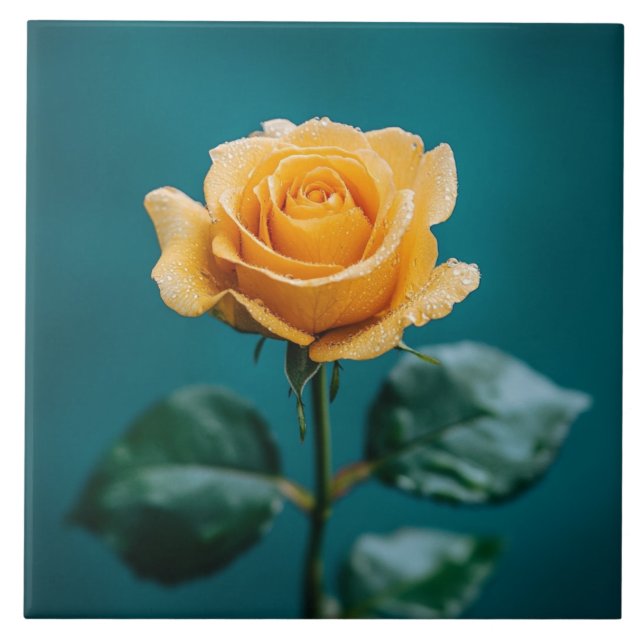 Single Peach Rose Ceramic Tile (Front)