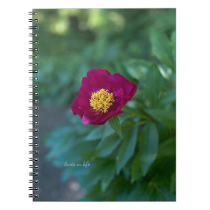 Single Peony Notebook
