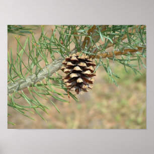 Single Pine Cone Print