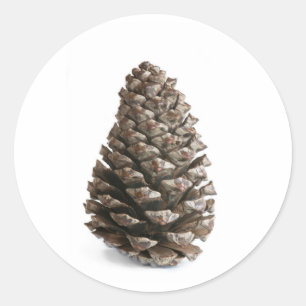 Single pinecone classic round sticker
