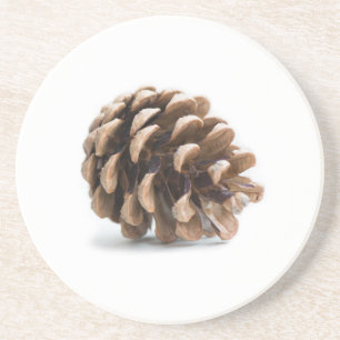Single pinecone coaster
