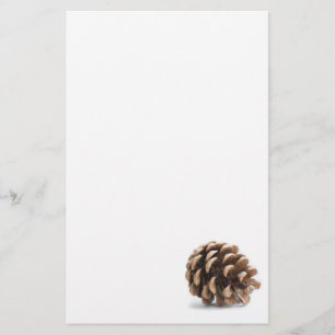Single pinecone stationery