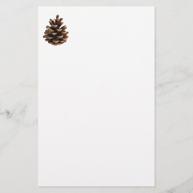 Single pinecone stationery (Front)
