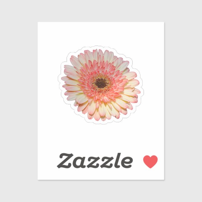 Single pink gerber flower (Sheet)