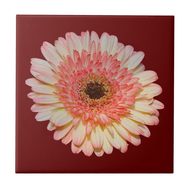 Single pink gerber flower ceramic tile (Front)