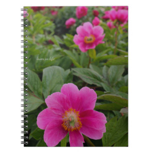Single Pink Peonies Notebook