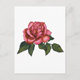 Single Pink Rose: Colour Pencil Drawing: Art Postcard