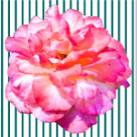 Single Pink Rose Sculpture  Standing Photo Sculpture<br><div class="desc">This Single Pink Rose design from Zazzle and Elizabeth's Creative Pursuits features a single pink rose. It is also available with a single yellow rose, a single red rose, or a single white rose. Red roses symbolise love and passion, yellow roses symbolise friendship, pink roses symbolise admiration or affection, and...</div>