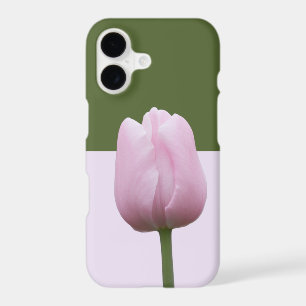 Single Pink Tulip Complementary Colours