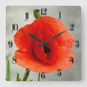 Single poppy flower photo square wall clock