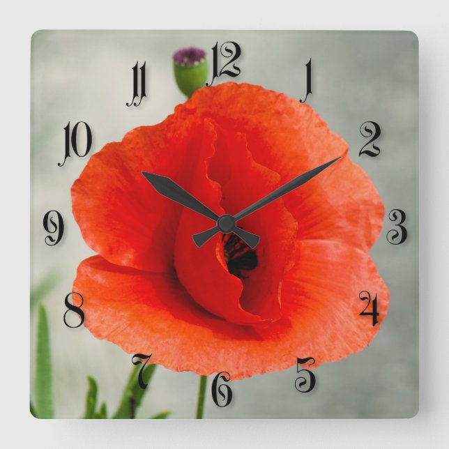 Single poppy flower photo square wall clock (Front)