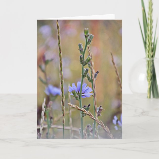 Single Purple Flower ~ Greeting Card (Front)