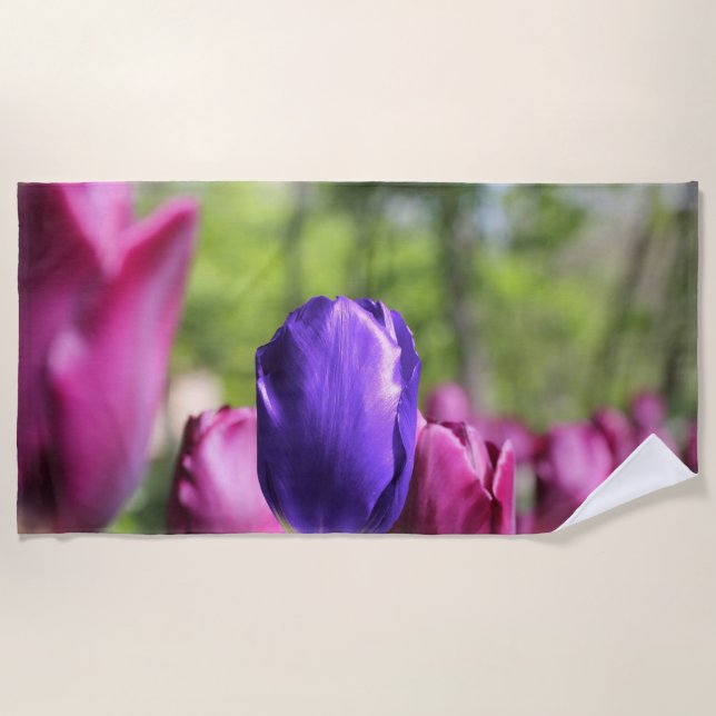 Single Purple Tulip Beach Towel (Front)