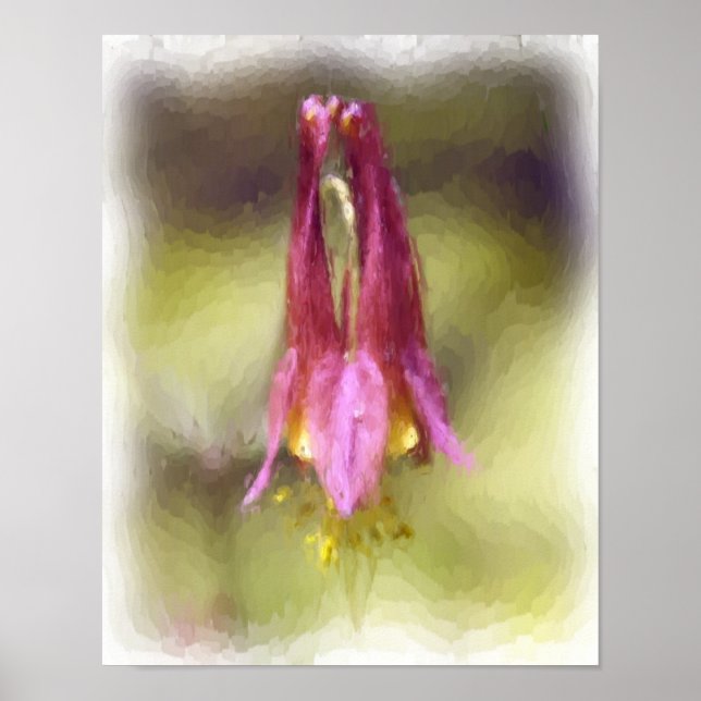 Single Red Columbine Flower Art Photo Painting Poster (Front)