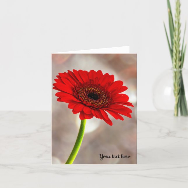 Single Red Gerbera Folded Greeting Card (Front)