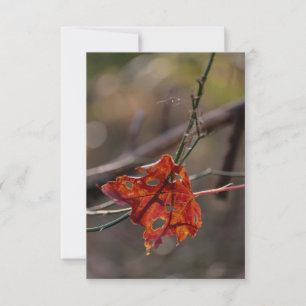 Single Red Leaf Thank You Card
